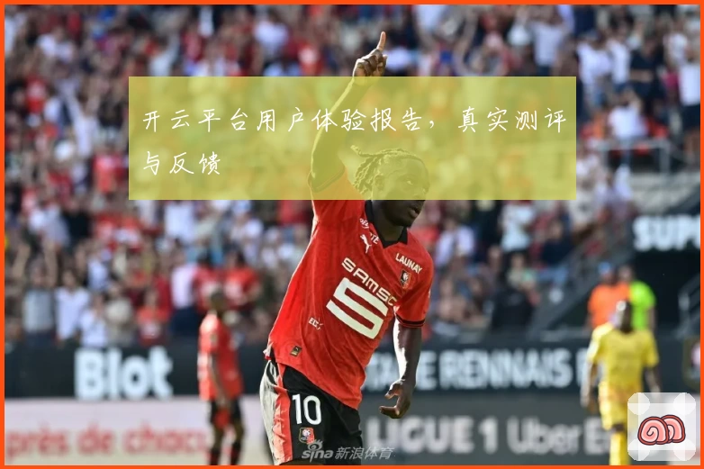 开云平台用户体验报告，真实测评与反馈