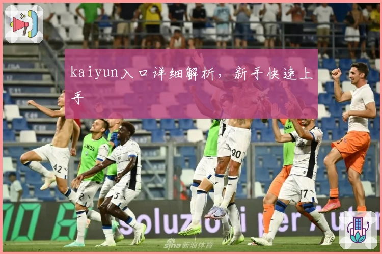 kaiyun入口详细解析，新手快速上手